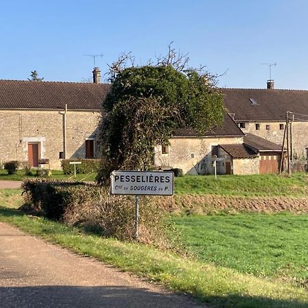 Villa Longere Campagne 10 Pers. Proche Guedelon à Sougeres-en-Puisaye Extérieur photo